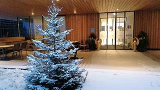 Foto vom verschneiten Eingangsbereich mit Christbaum