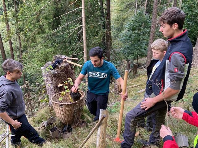 Aktion Aufforstung Klimafitter Bergwald